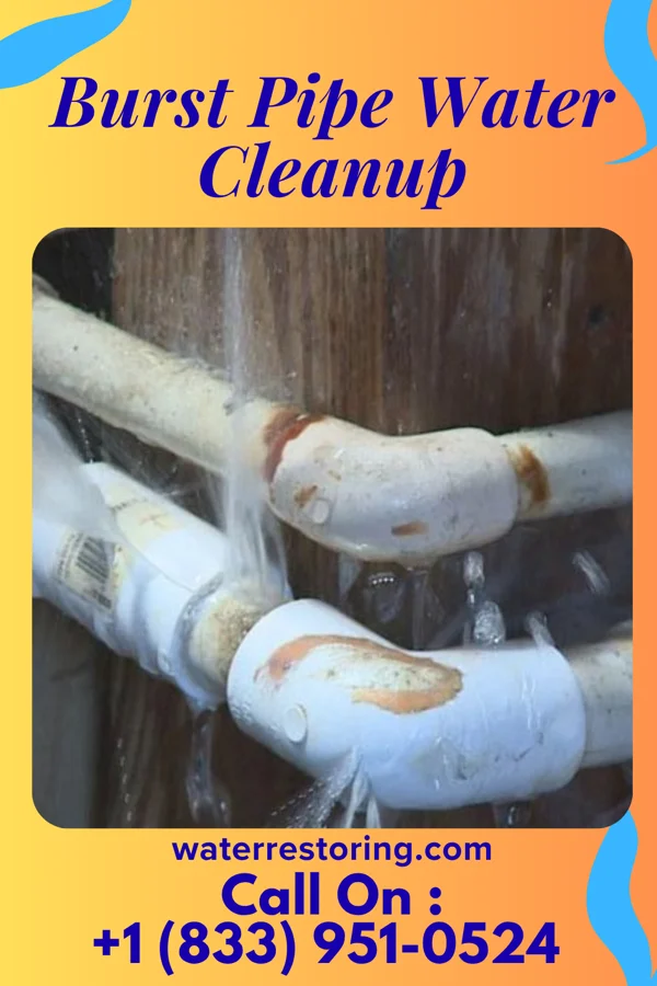 Burst Pipe Water Cleanup in Nevada, MO