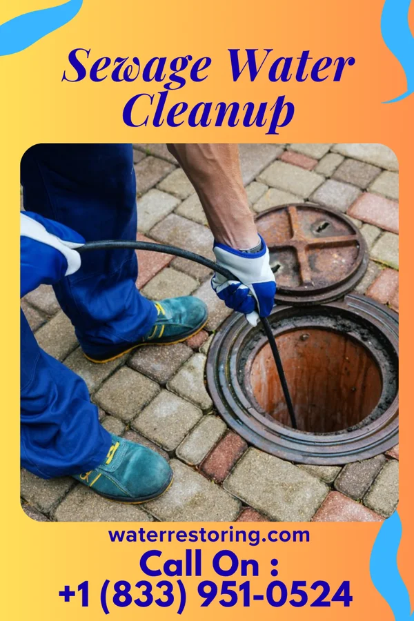 Sewage Water Cleanup in Nevada, MO